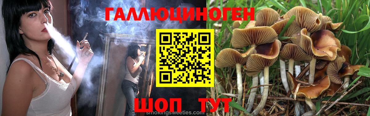 Псилоцибиновые грибы мицелий Вольск